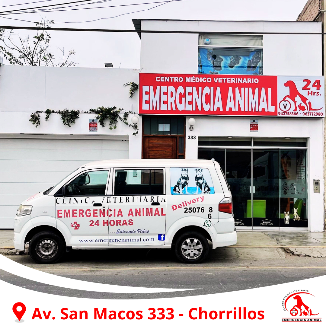 Emergencia Animal C.M.V San Marcos