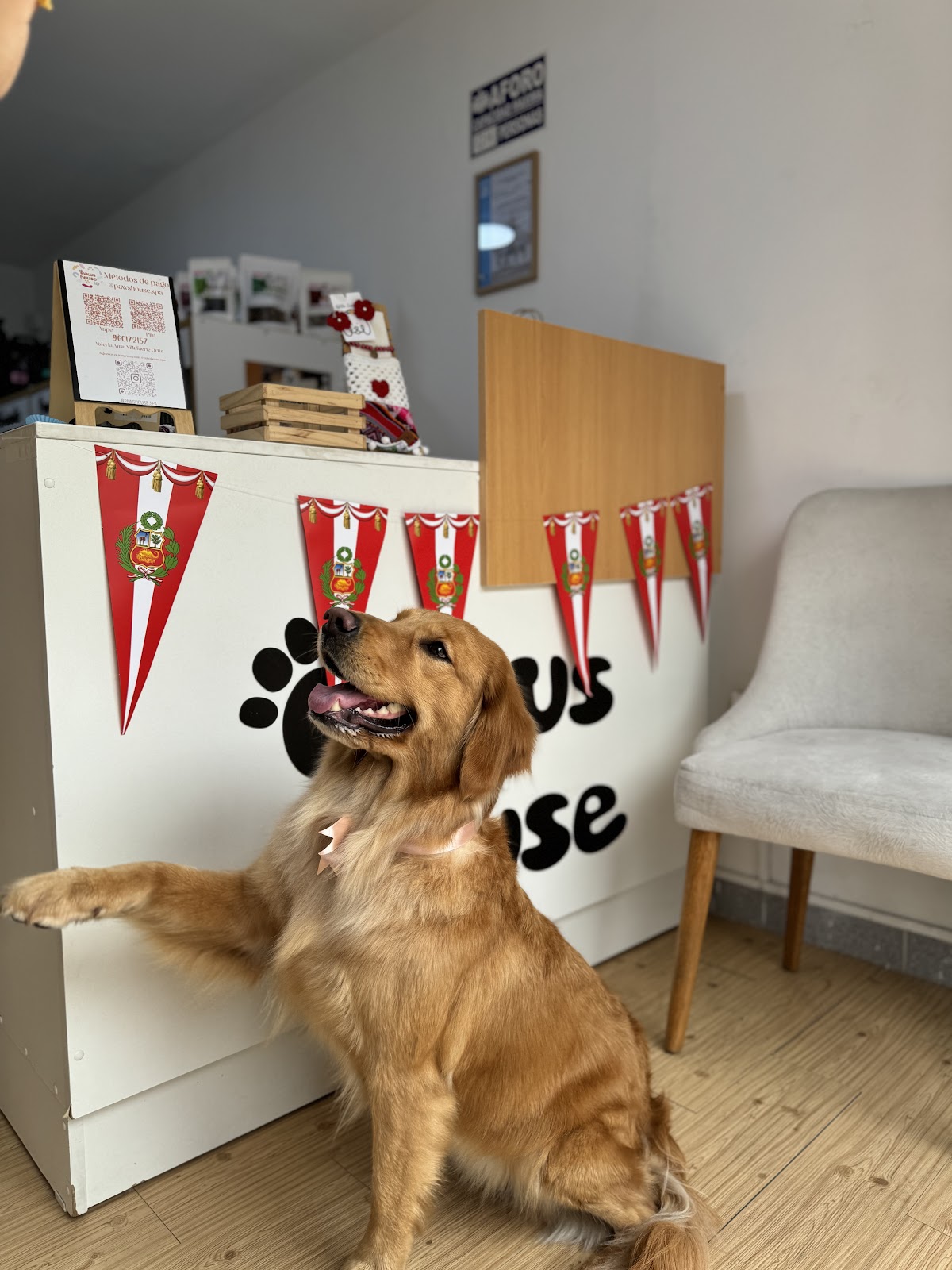 Paws House Spa