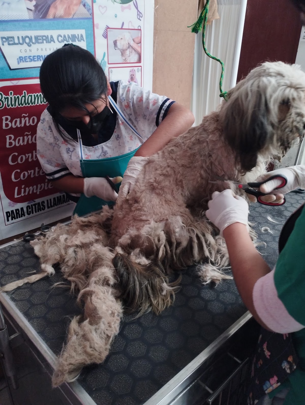 AGROVET PLANTAS Y ANIMALES