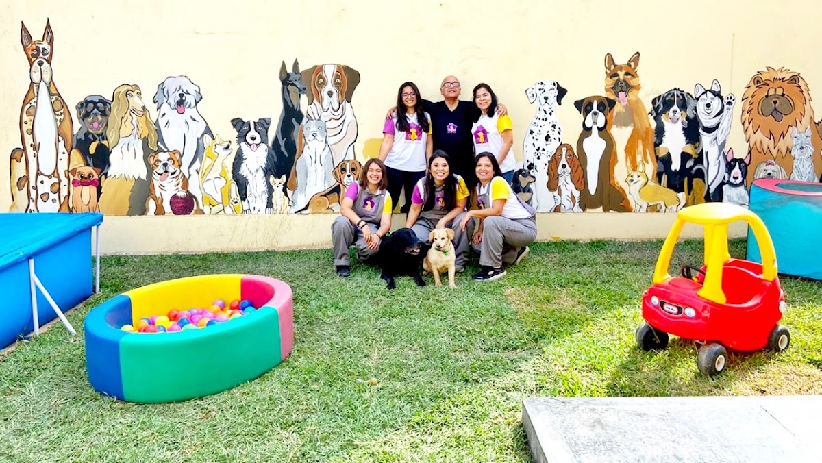Hospedaje y Guardería - Bigotes WoW