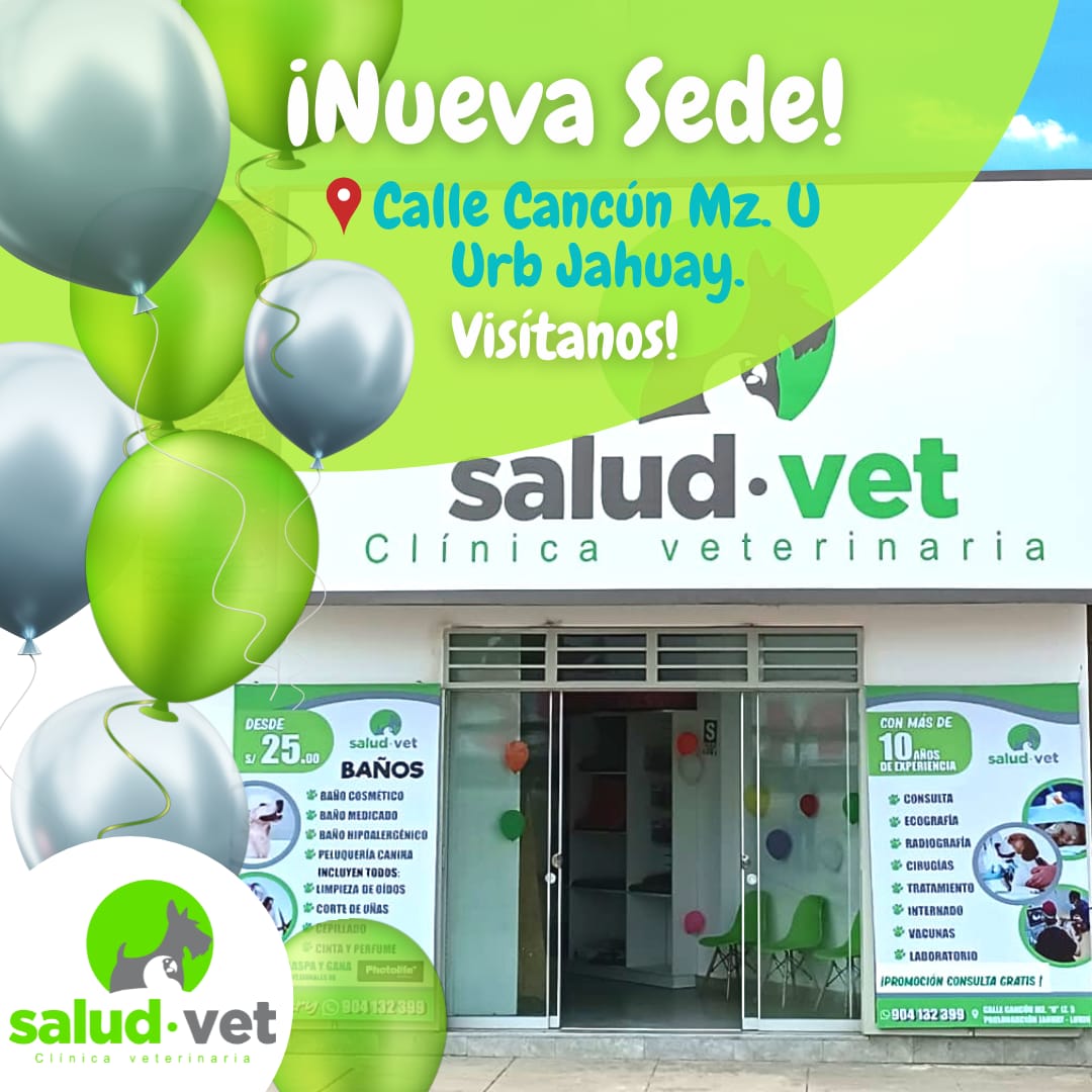 Clinica Veterinaria SaludVet Lurin - Playa Arica