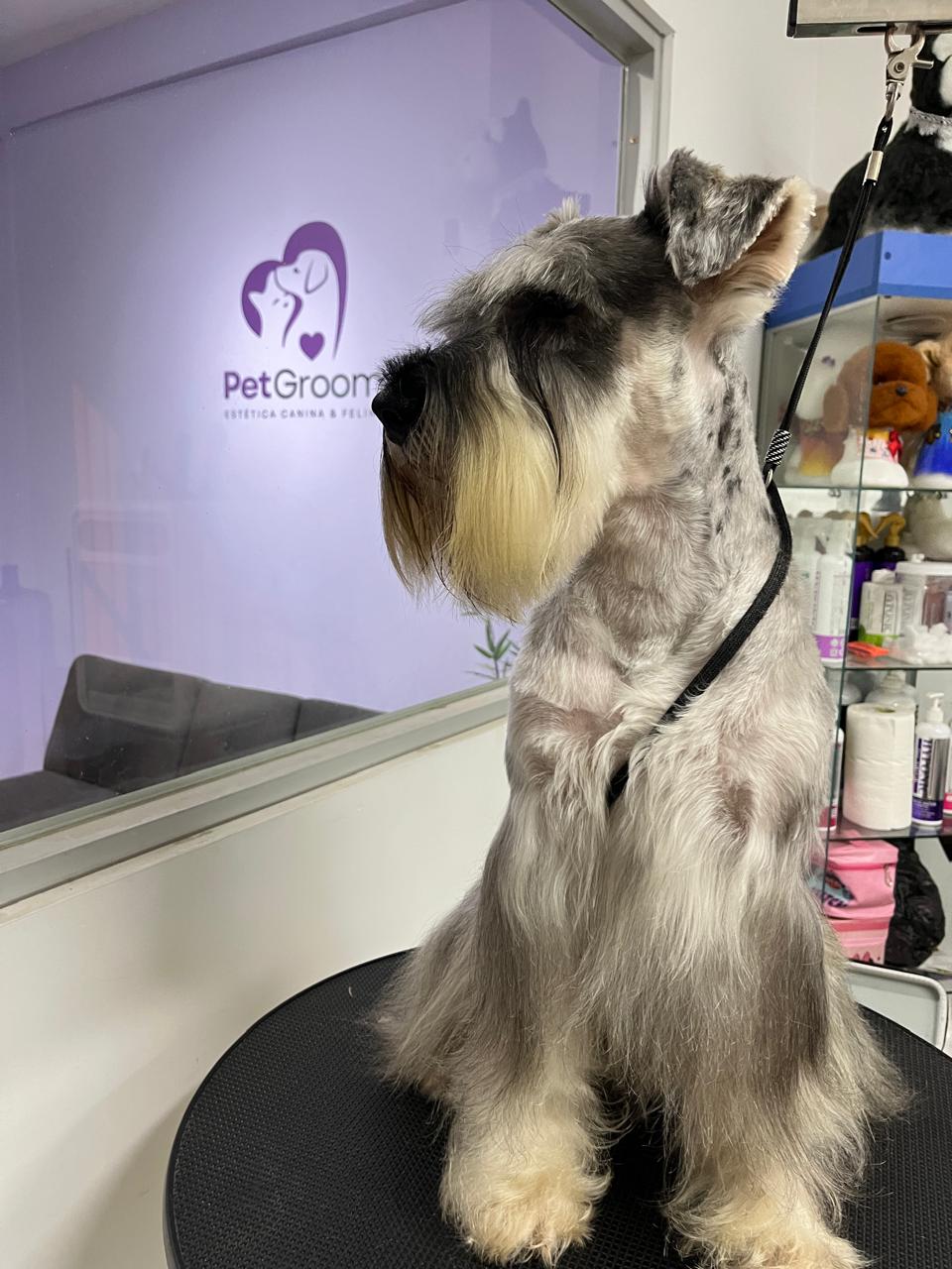 PetGroom Peru - Peluqueria Canina y Felina