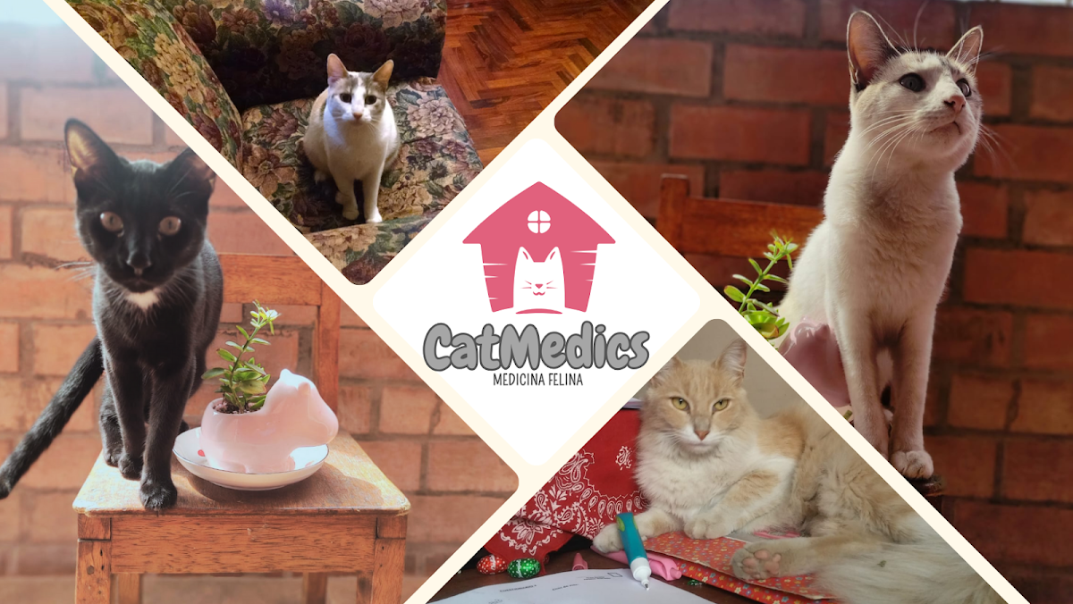CatMedics