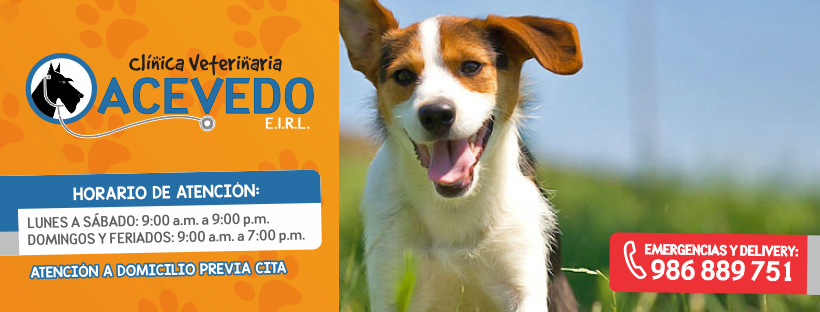 Clínica Veterinaria Acevedo - Sede Playa Rimac