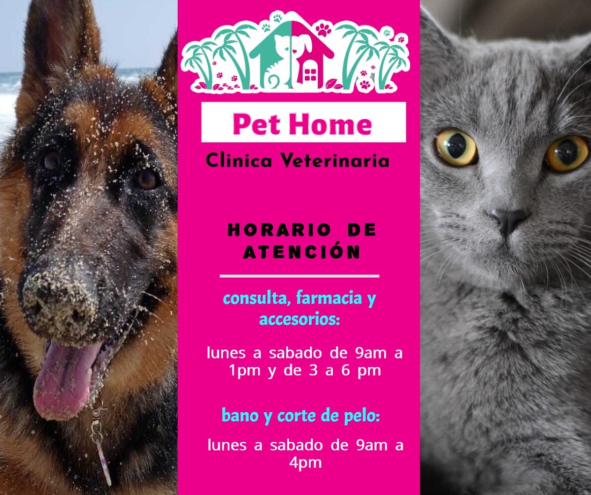 pet home vet