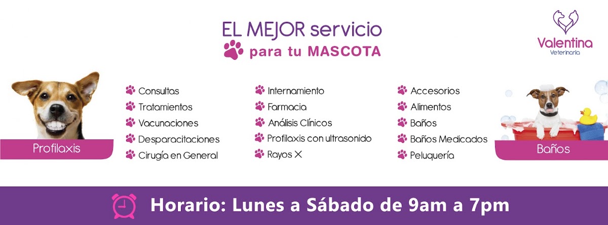 CENTRO MÉDICO VETERINARIO & SPA VALENTINA