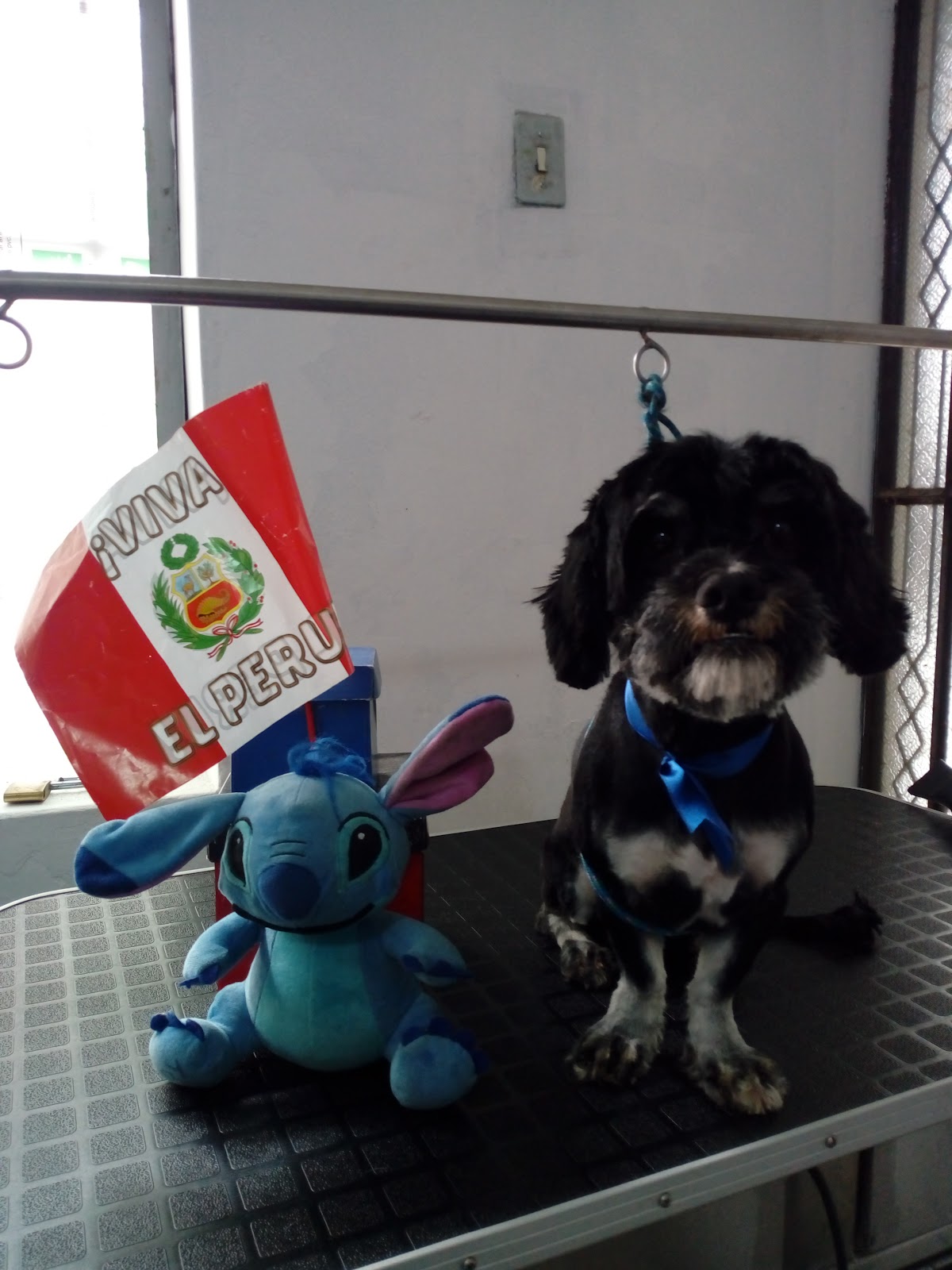 Veterinaria Club de Patas Santa Anita
