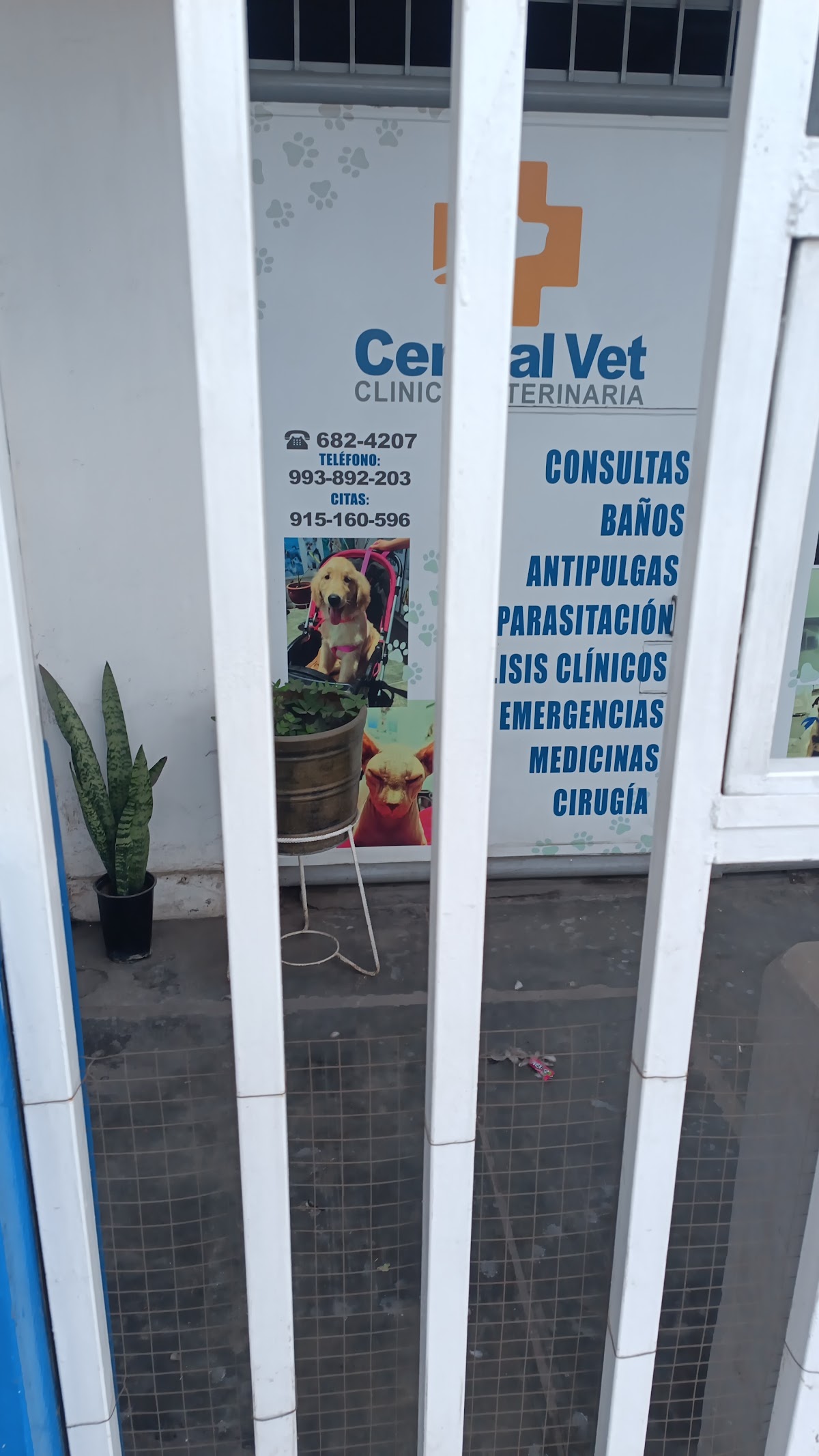 Clinica Veterinaria Central Vet-PERU
