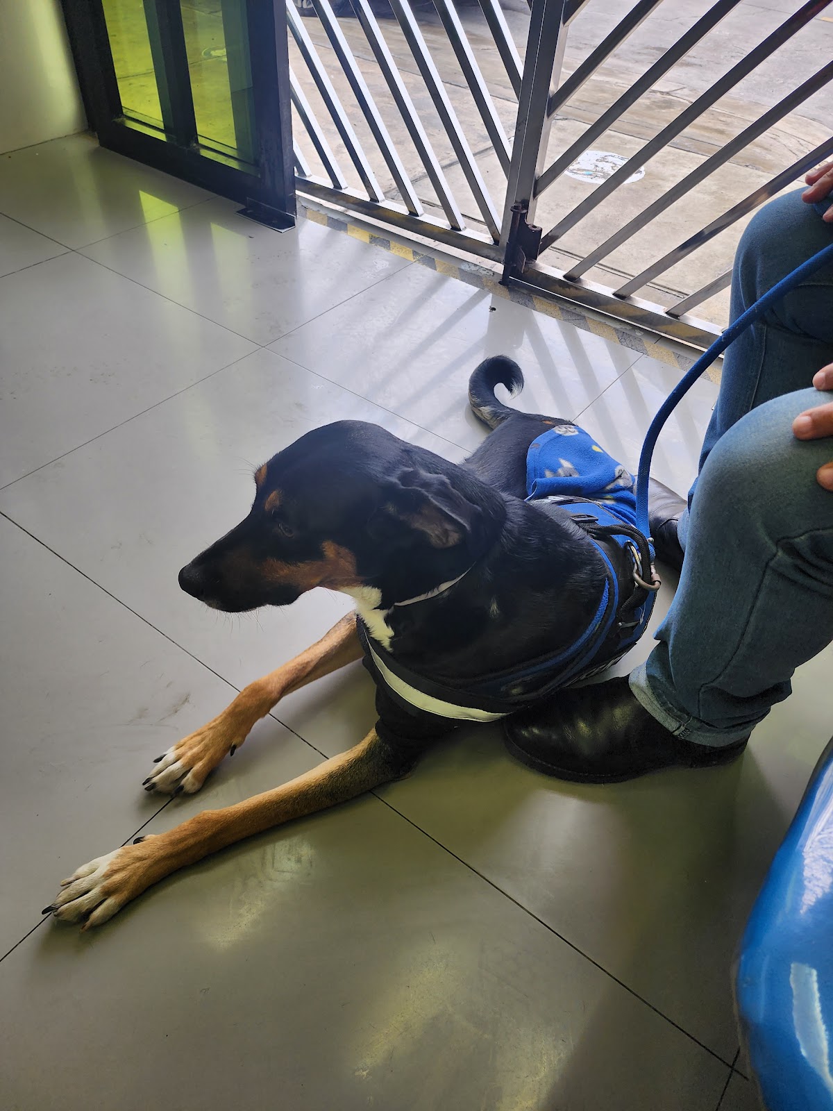 Veterinaria Mundo Labvet