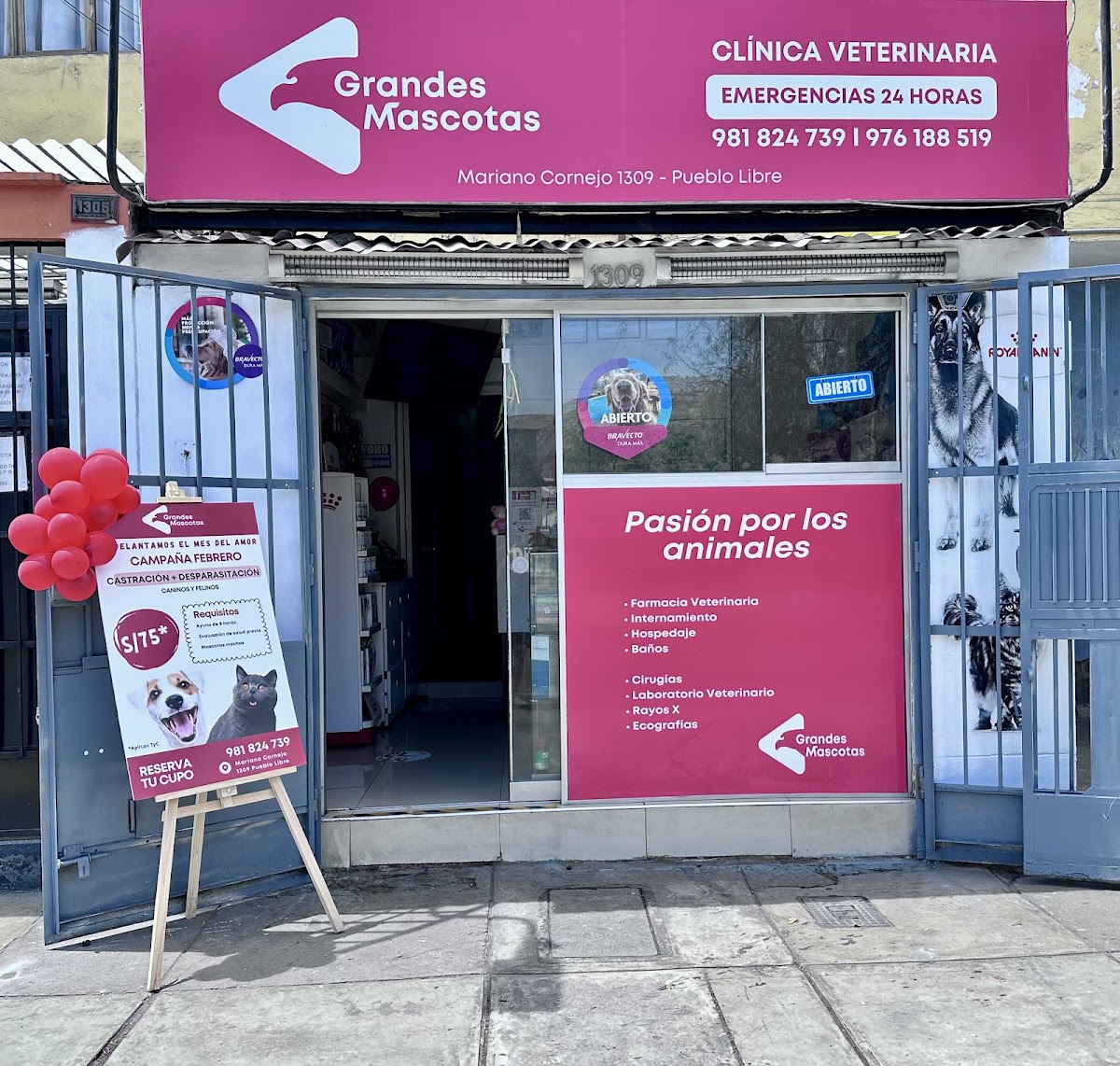 Veterinaria 24 horas GRANDES MASCOTAS / Emergencias