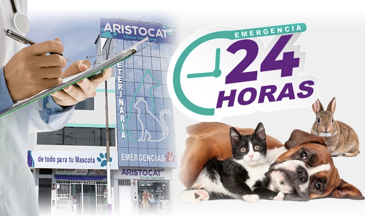 Clínica Veterinaria Aristocat Sede Los Olivos