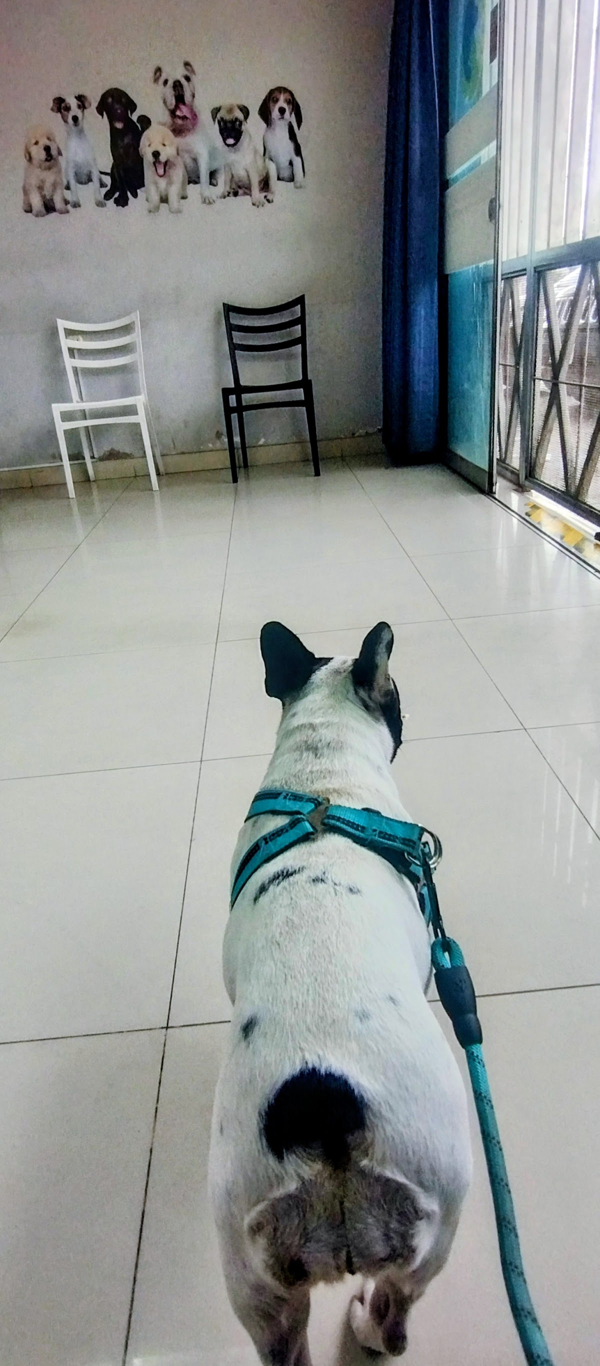 Clínica Veterinaria Covida