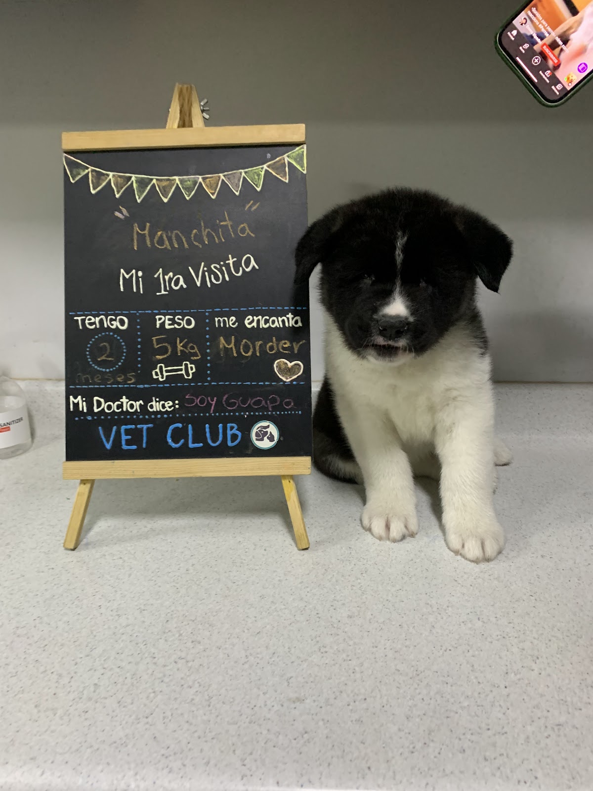 Vet Club - Veterinaria, Grooming & Petshop