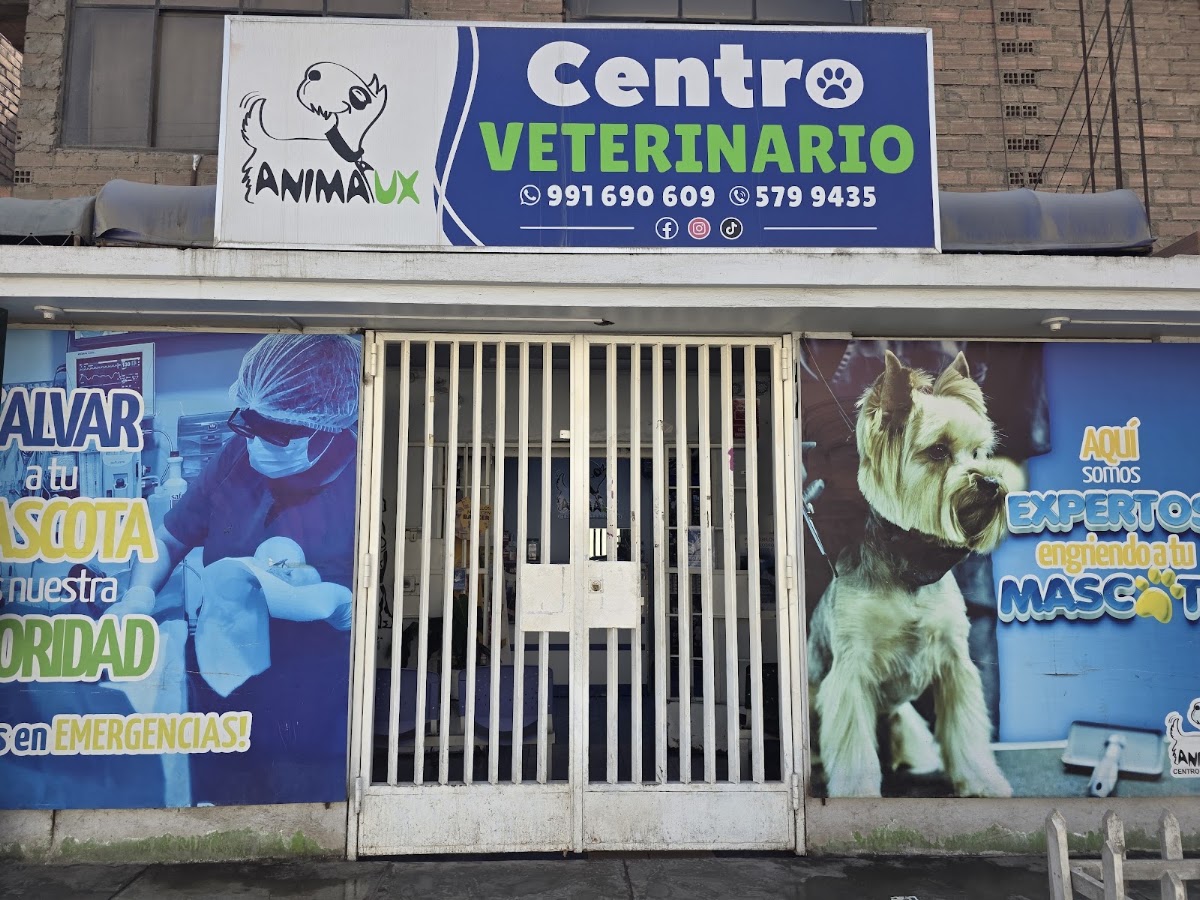 Veterinaria Animaux