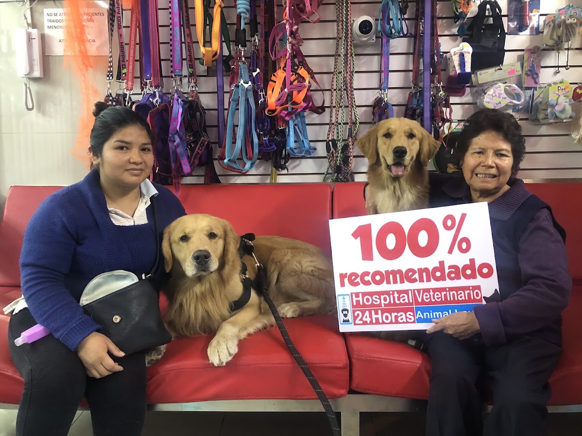 Hospital Veterinario 24 horas Animal love