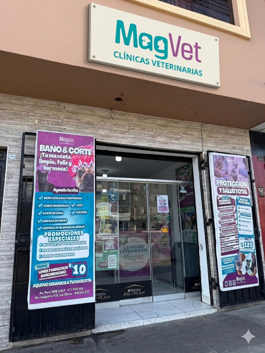 Clinica Veterinaria MagVet SMP