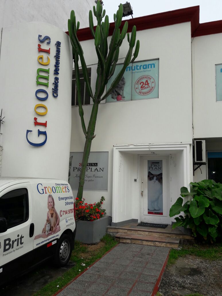 Clinica Veterinaria Groomers Sede Juan de Aliaga