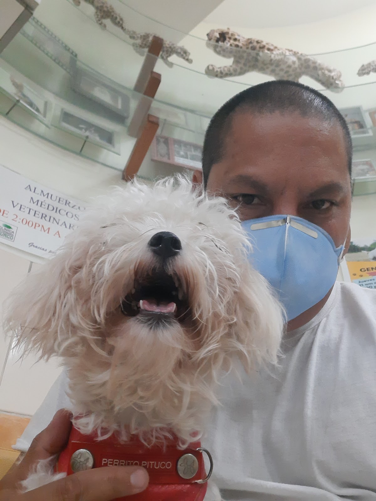 Clínica Veterinaria Surco