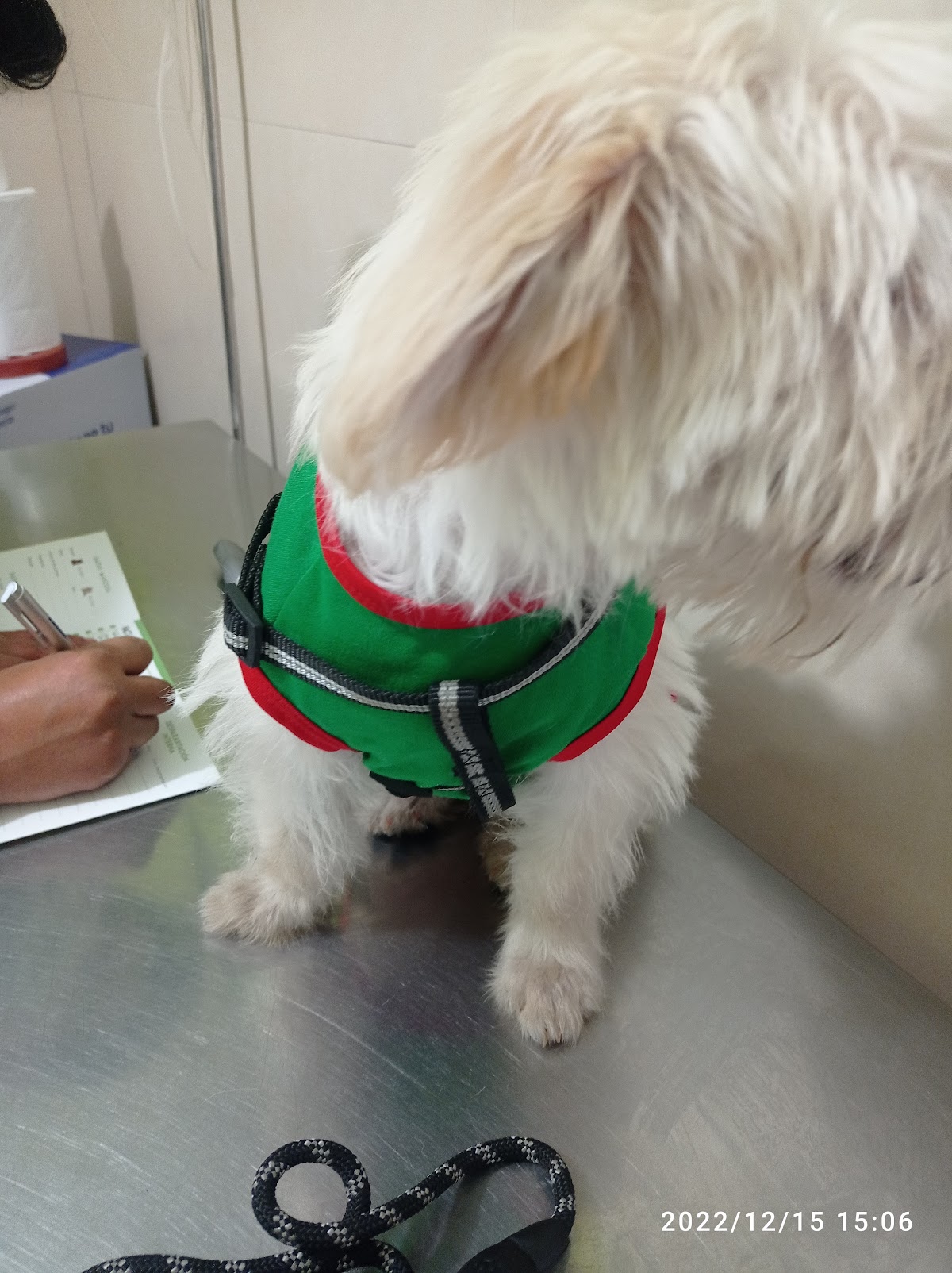 VETERINARIA DR. OSORIO