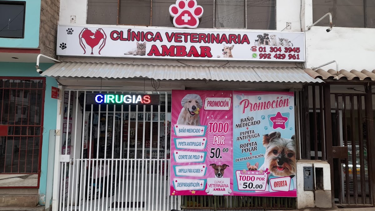 Clínica Veterinaria Ambar Sede Pachacamac