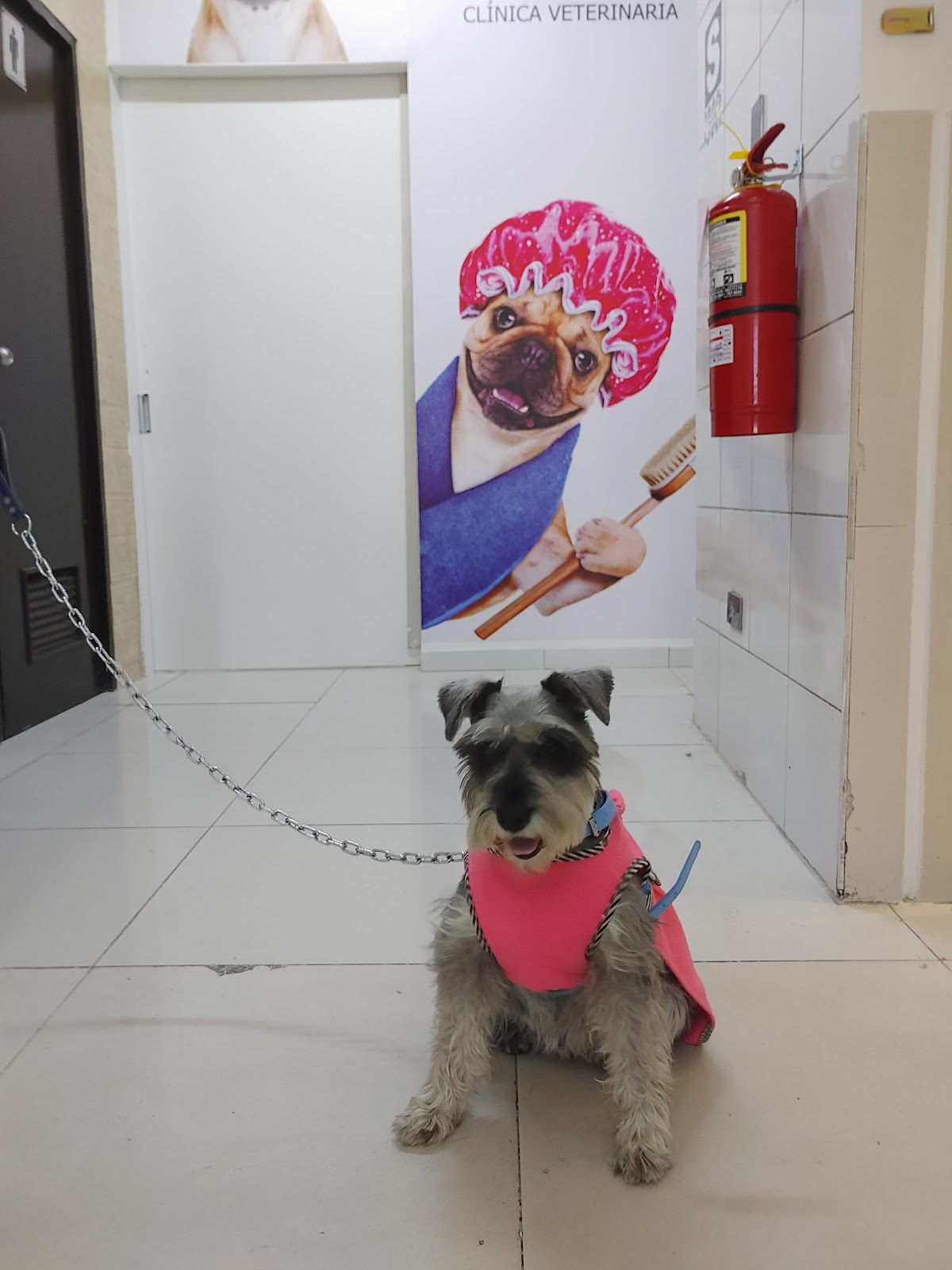 VetCare