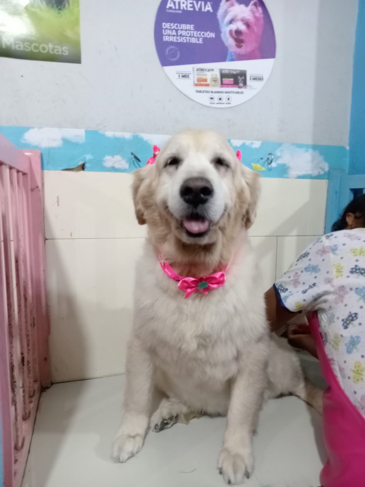 Veterinaria "Los Jardines"