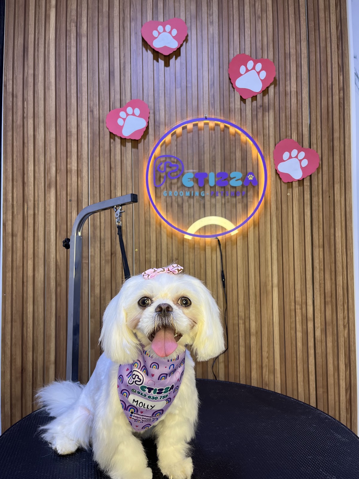 Petizza Grooming Petshop