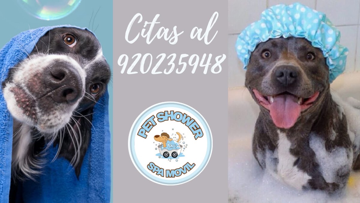 PET SHOWER SPA MOVIL