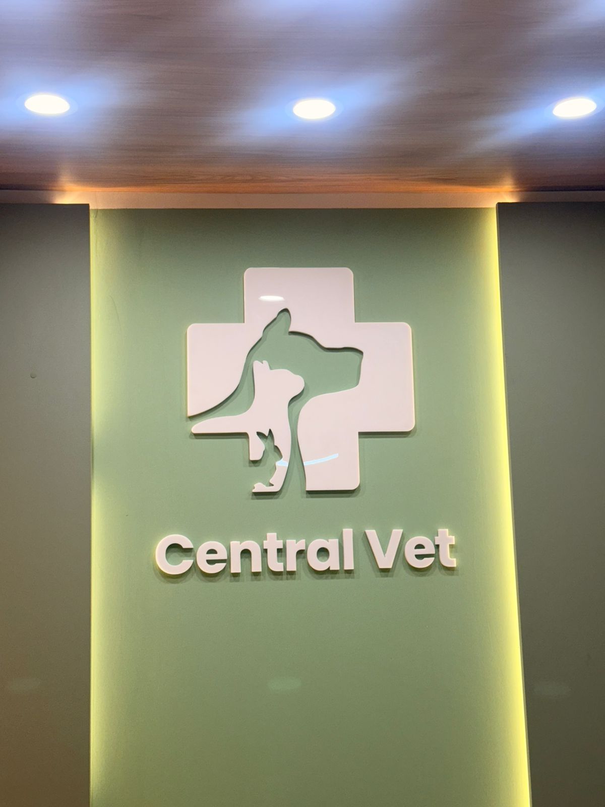 CENTRAL VET MIRAFLORES