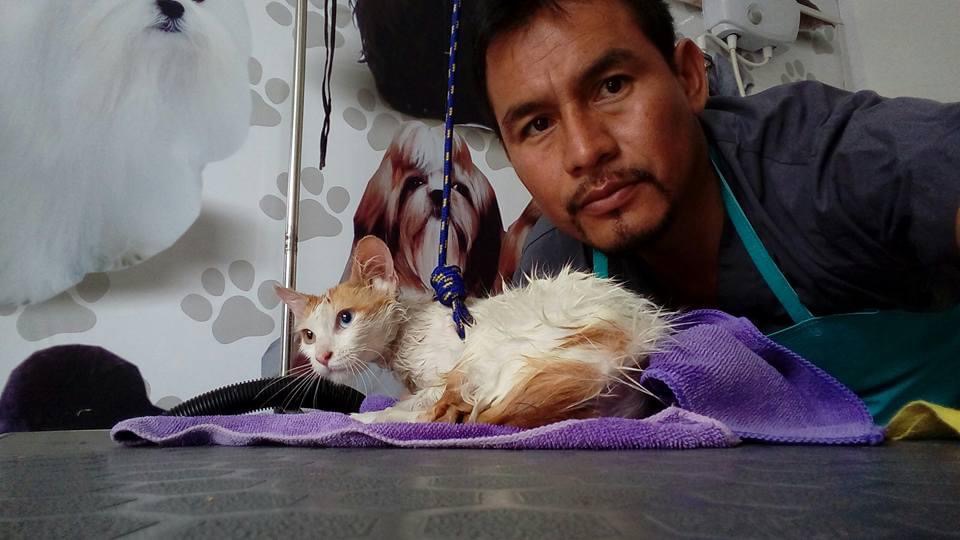 PET GROOMING J & L BAÑOS Y CORTES
