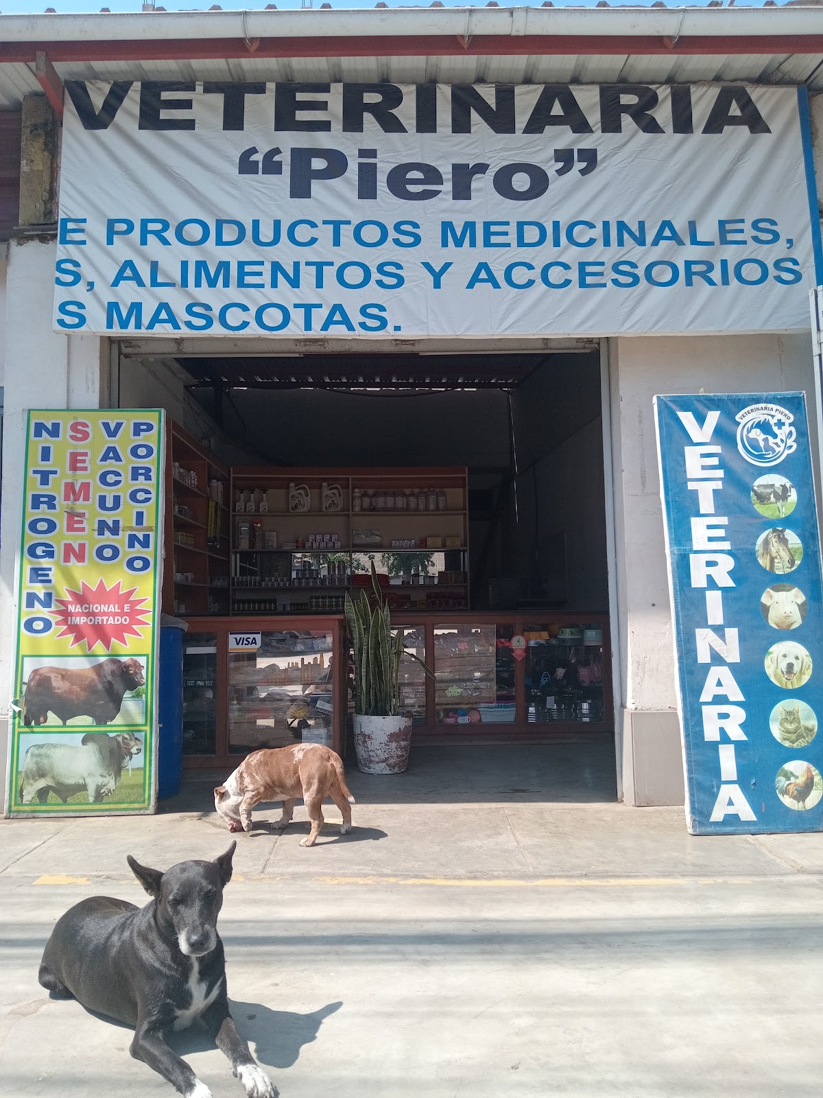 Veterinaria Piero