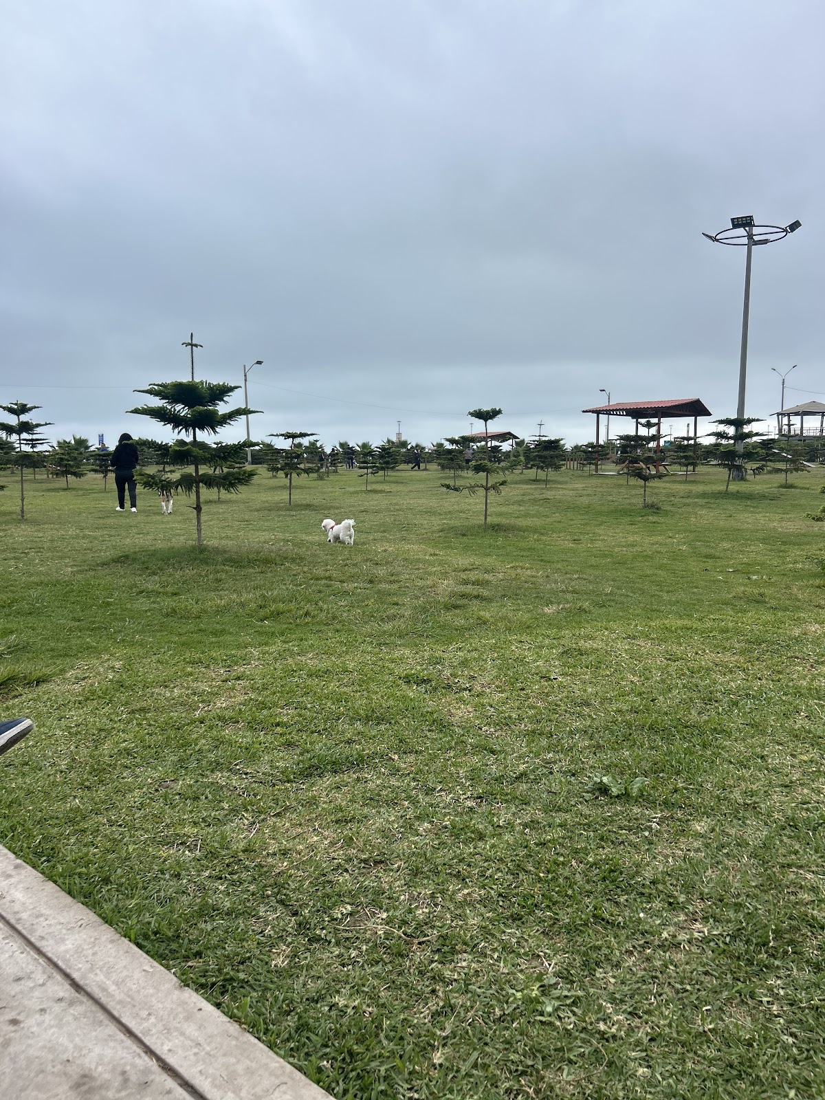 Parque Canino "Esperanza" Magdalena del Mar