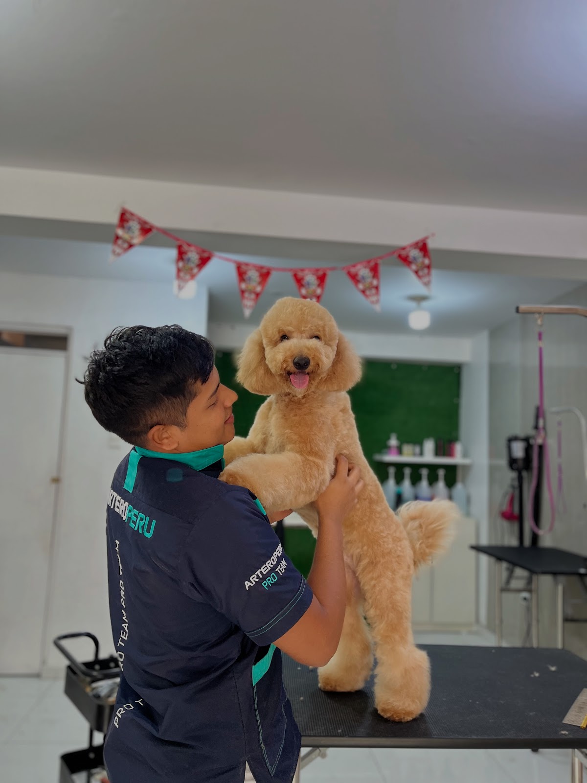 Dog Artist Grooming Salon
