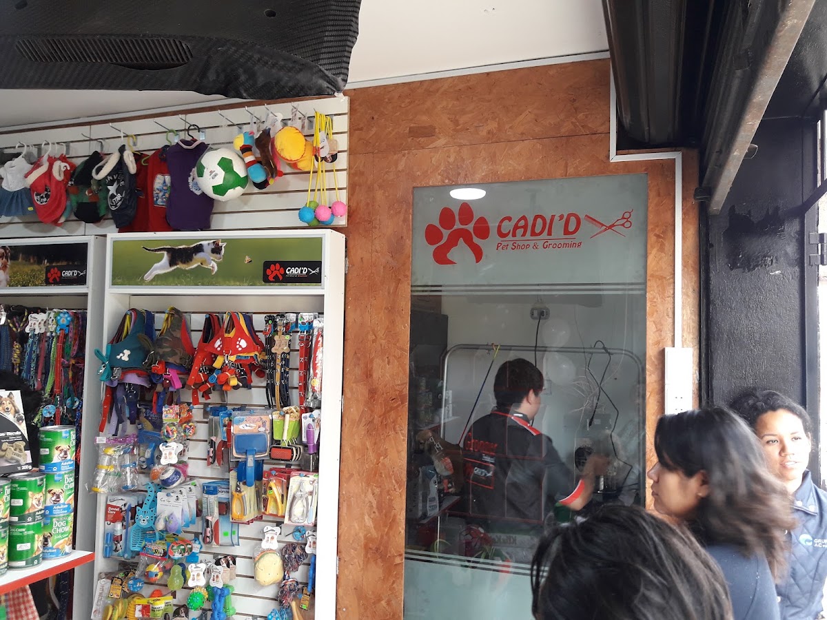 CADI'D Pet Shop & Grooming