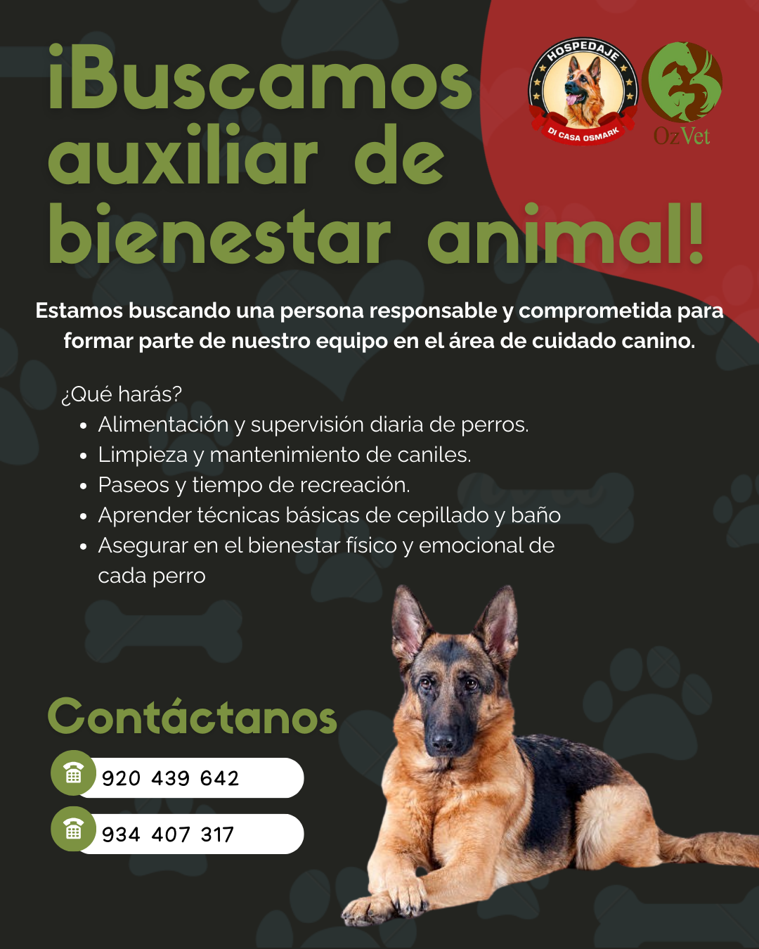 Clínica Veterinaria Ozvet