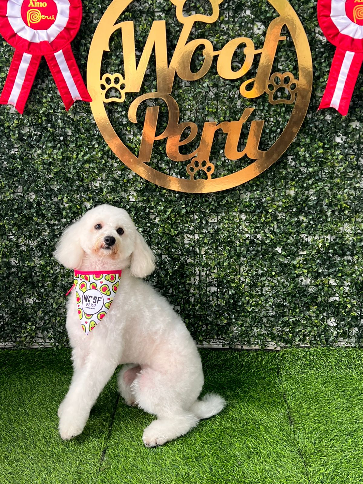 Woofperu Estética Canina