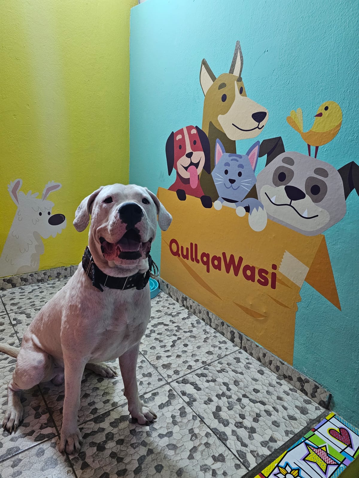 Qullqa Wasi