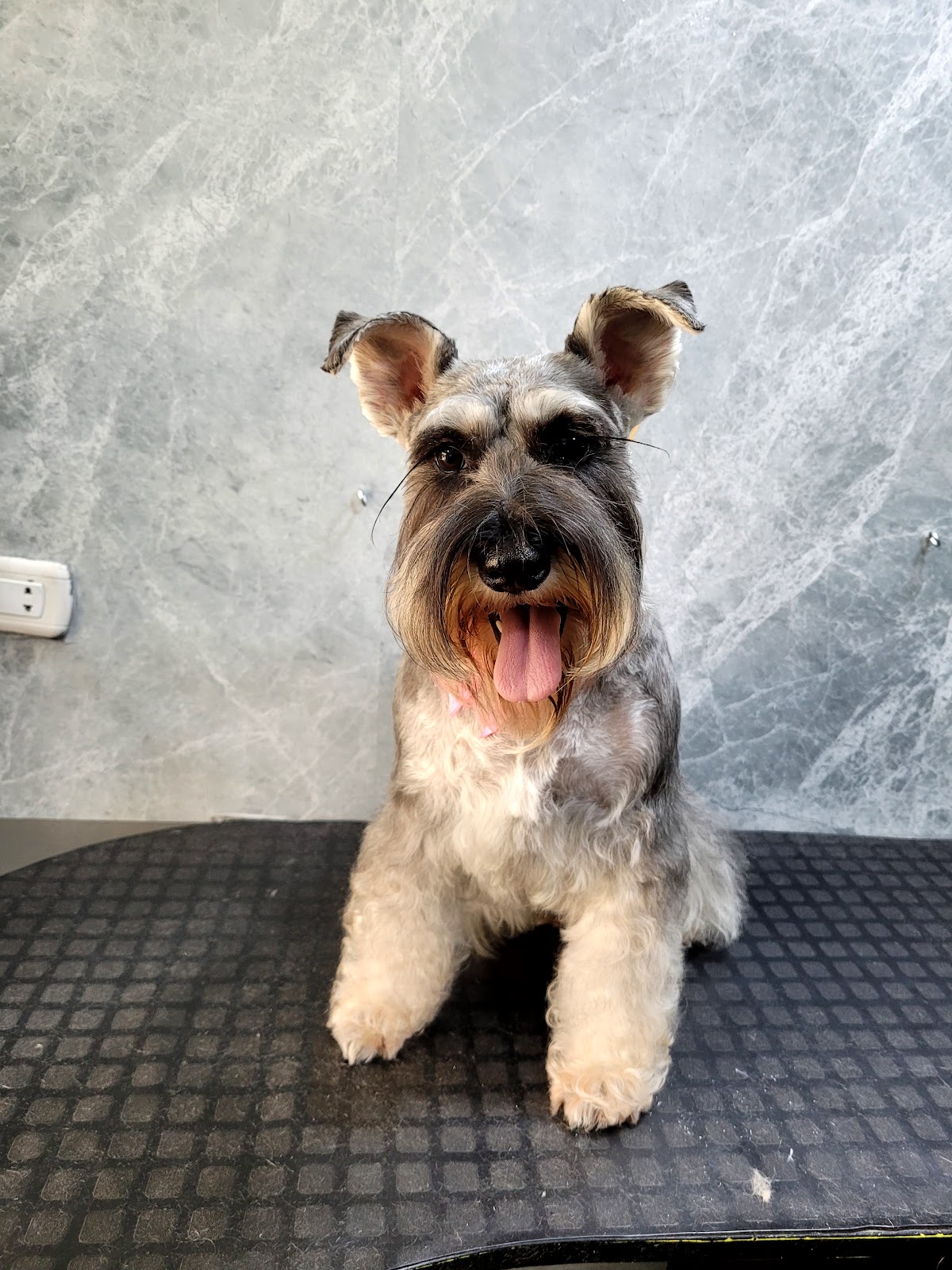 O' Hanna Pet Shop & Grooming