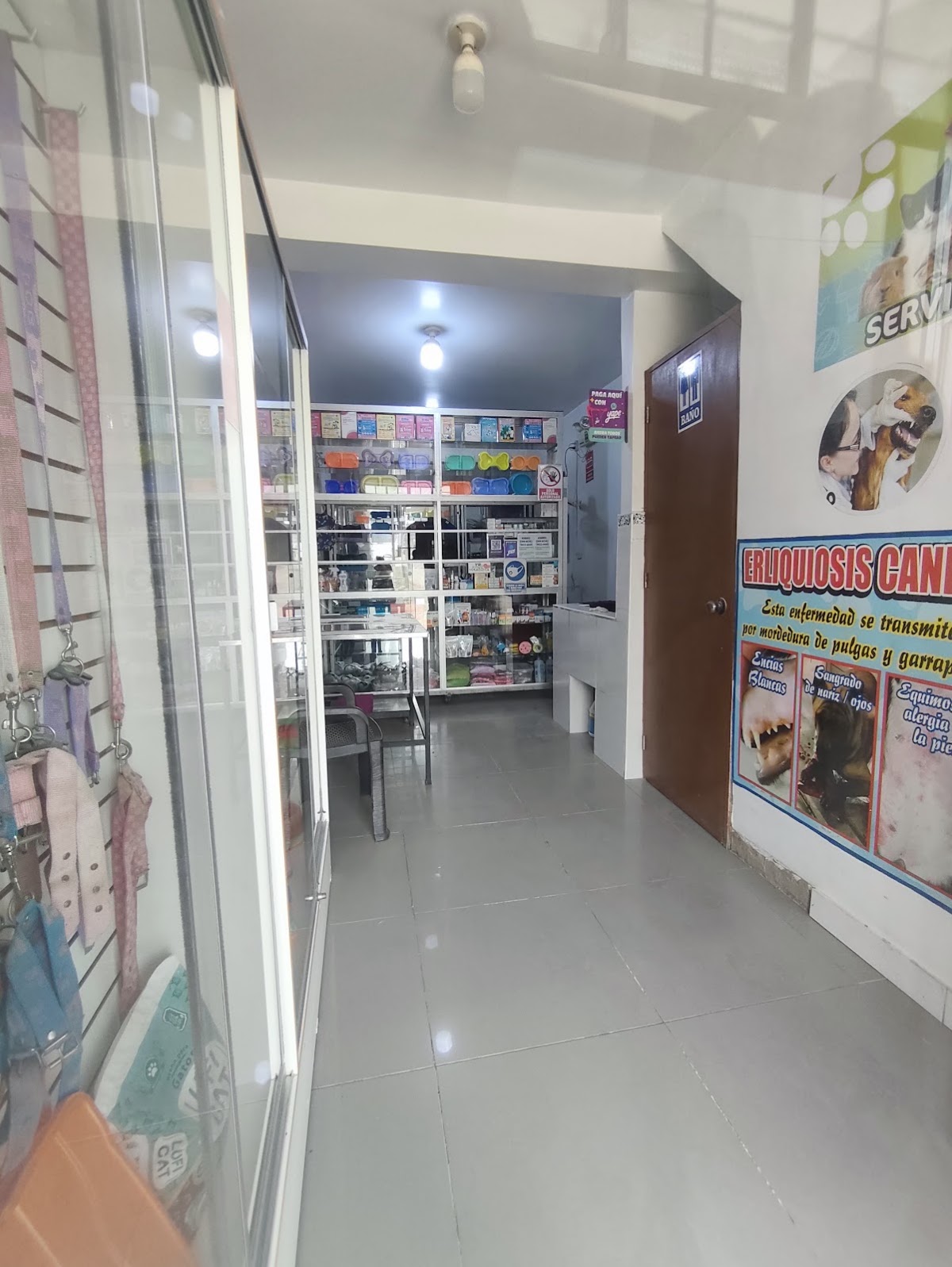 Veterinaria - Santa Rosa