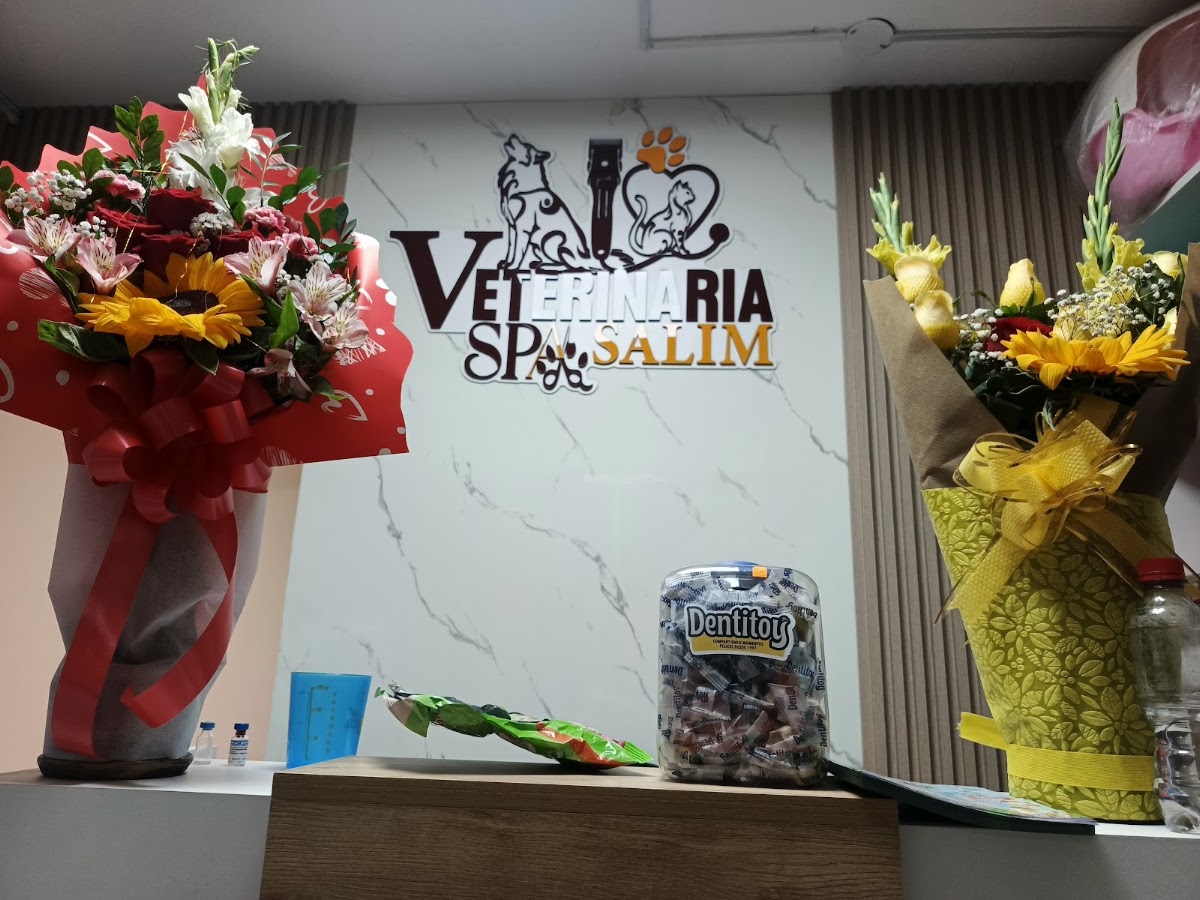 SPA VETERINARIA SALIM