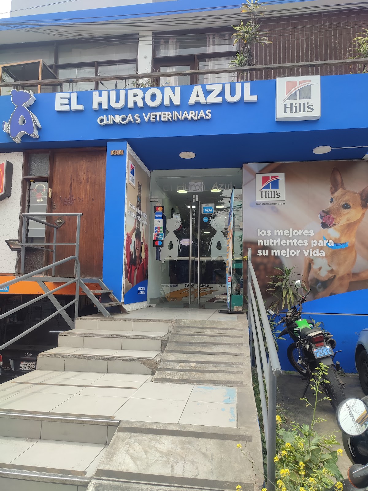 El Hurón Azul Clínica Veterinaria