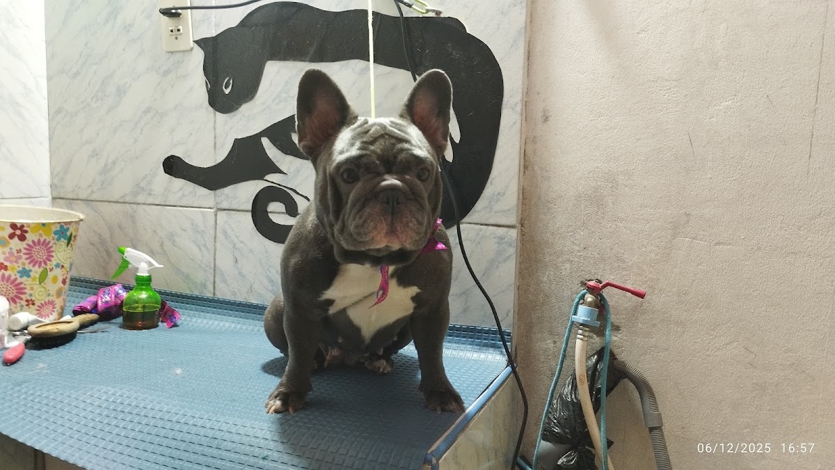 GROOMING CANYN