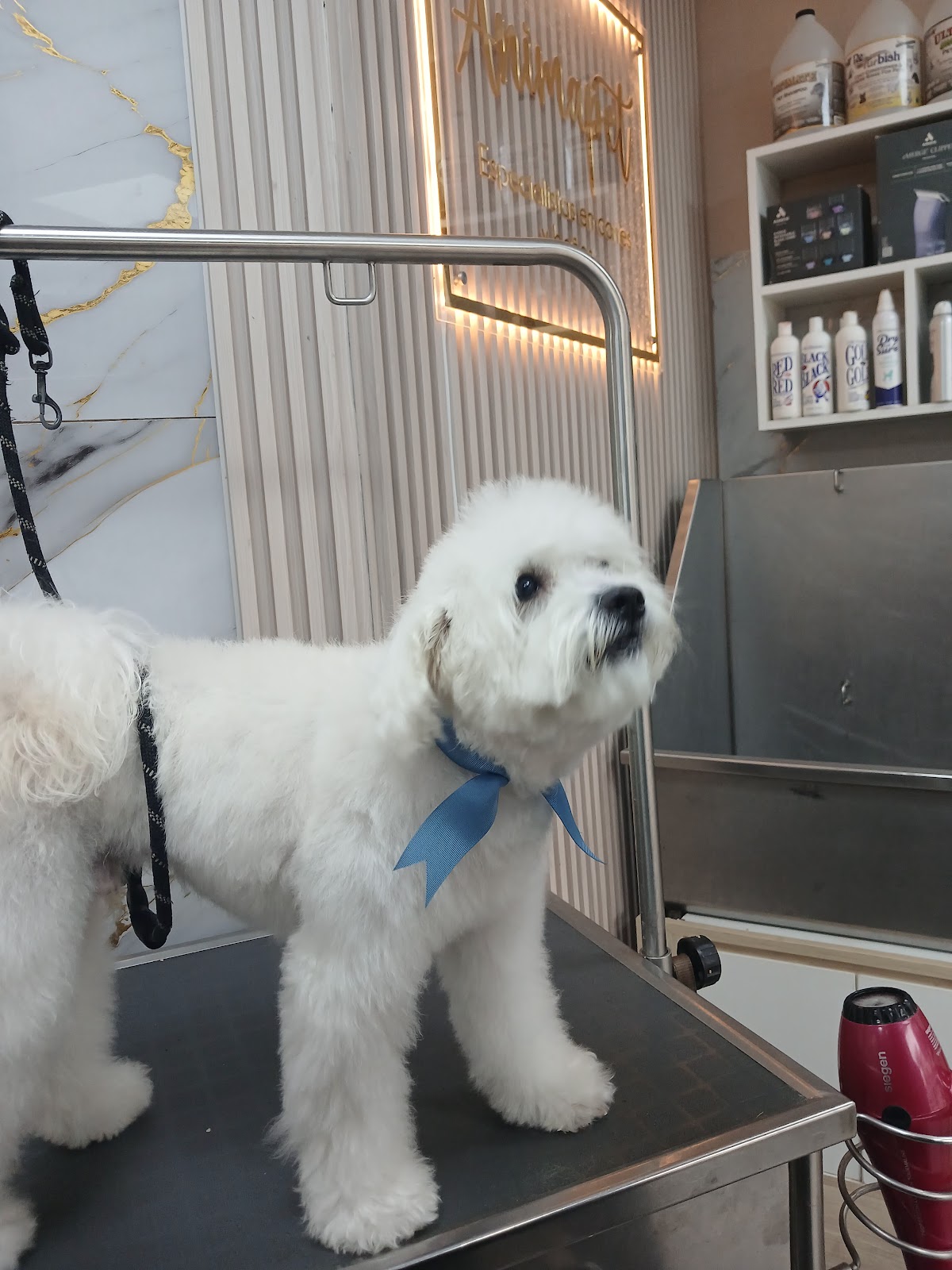 Animapet Peluquería Canina y Pet Shop