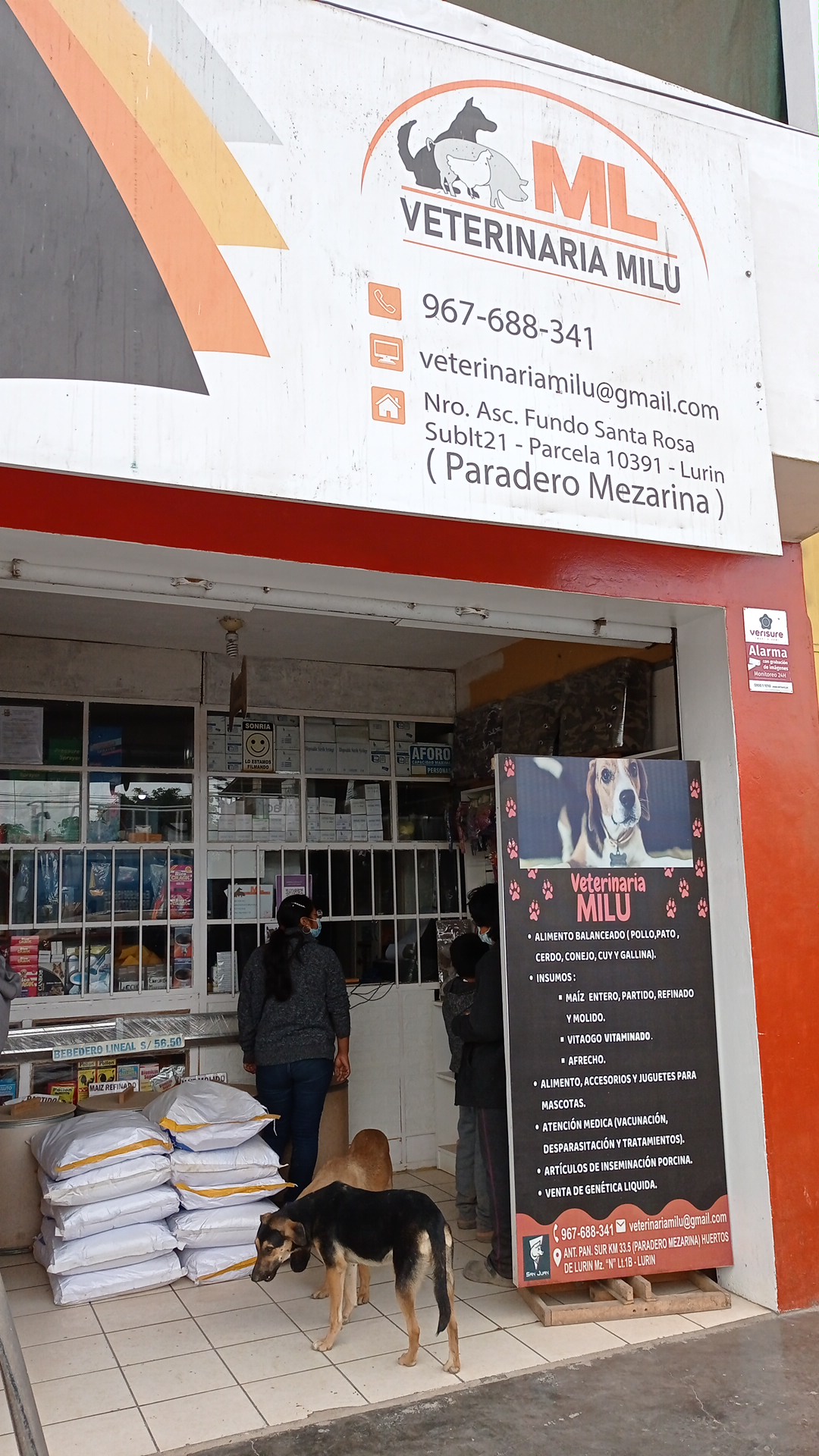 Veterinaria Milu