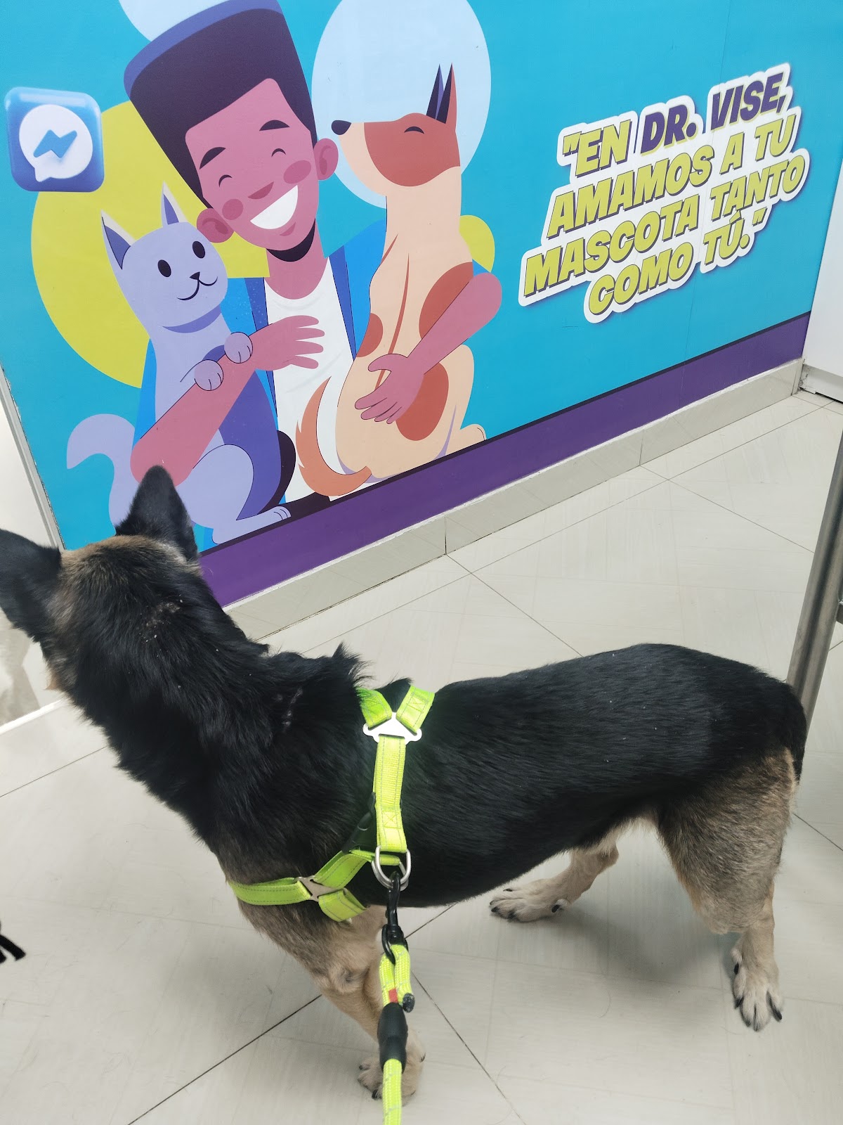 Dr. Vise Pet Shop