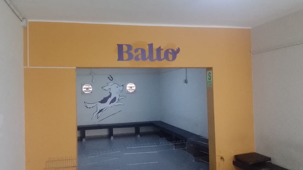 Balto Perú Hostel Canino - Daycare & Overnight