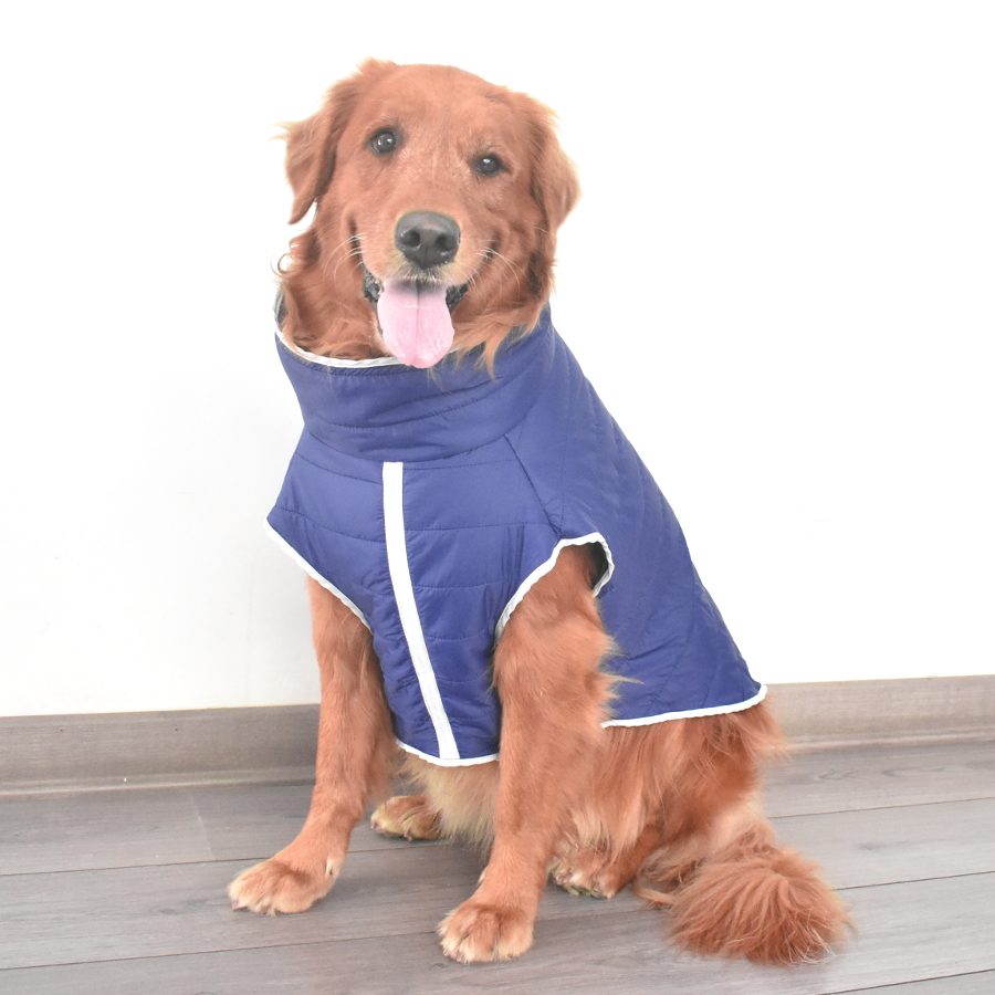 Pelucotas Petshop