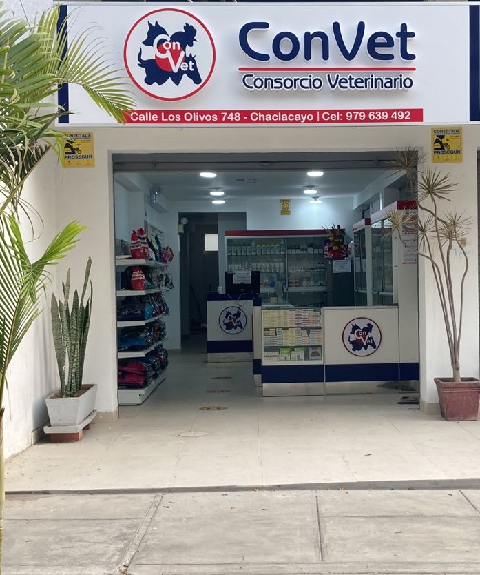 Convet - Chaclacayo