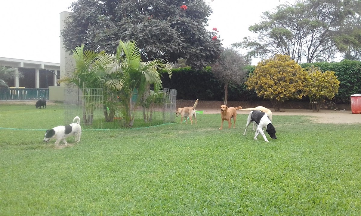 La Casa De Bellota