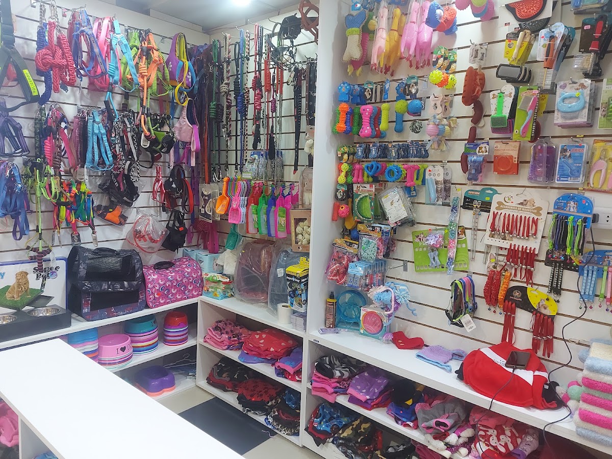 FROZ SPA Y ACCESORIOS